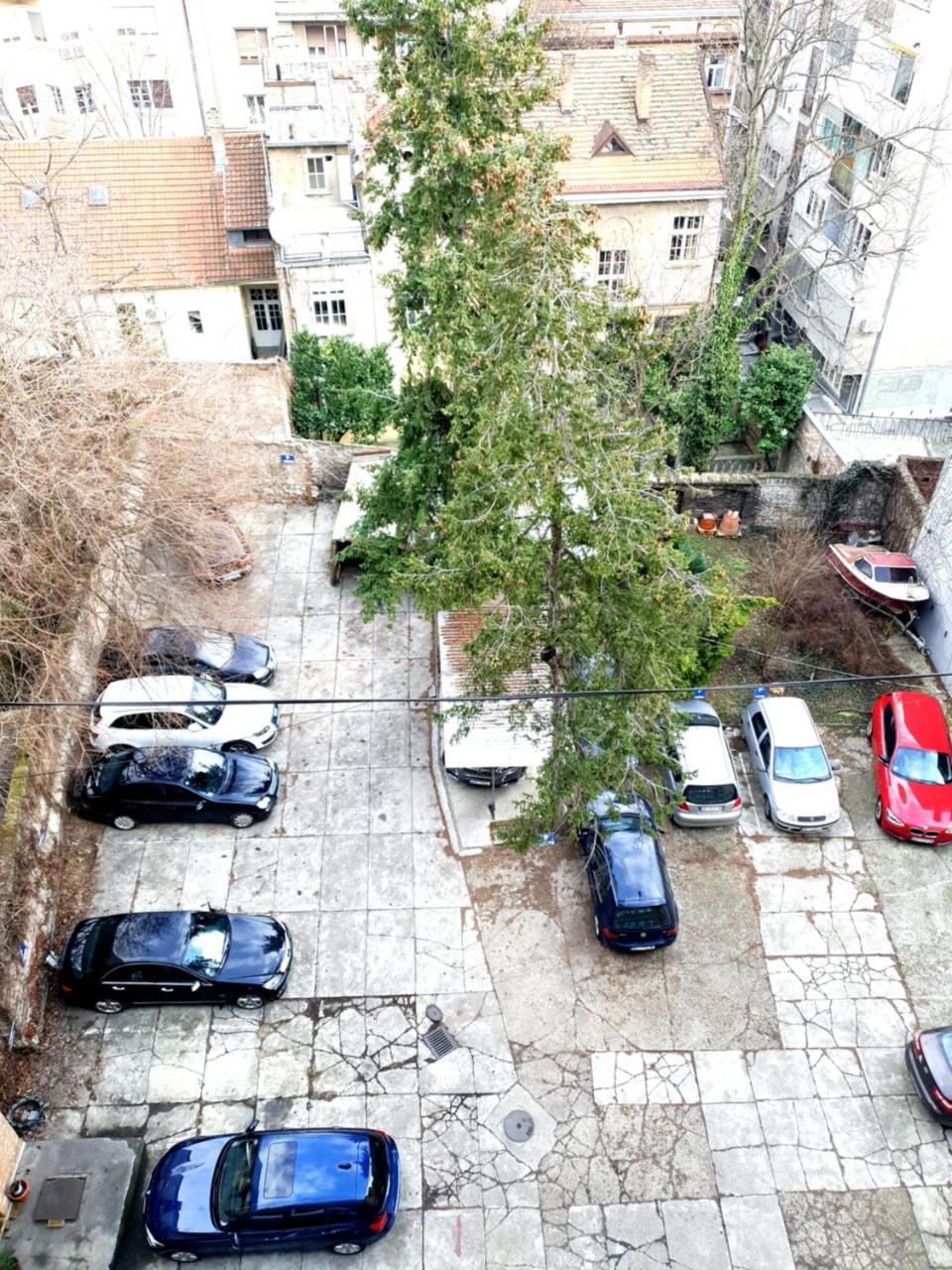 Dream Apt With Parking Διαμέρισμα Βελιγράδι Εξωτερικό φωτογραφία